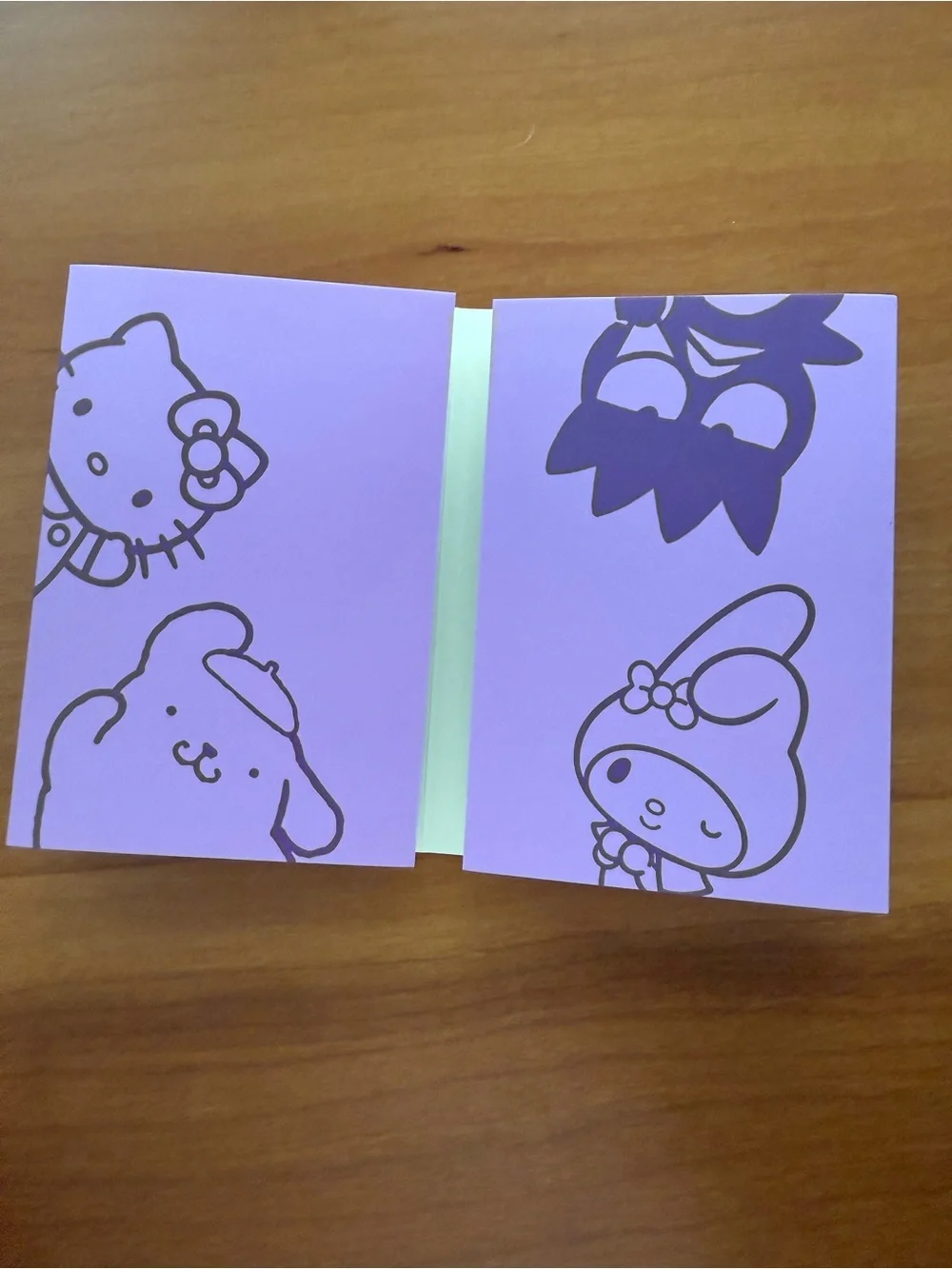 Erin Condren x Hello Kitty Sanrio Sticky Note Booklet Set of 2
